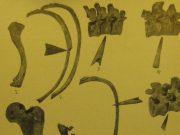 Naked Naked by George Murphy