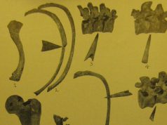 Naked Naked by George Murphy