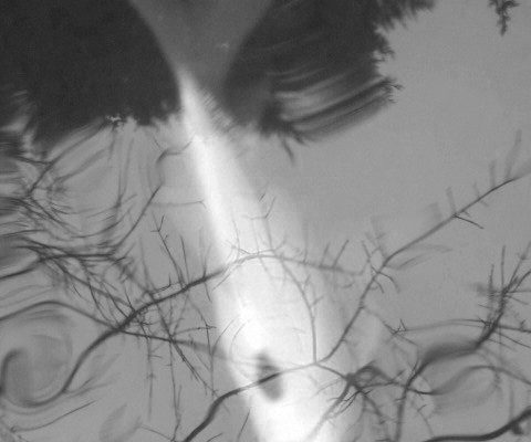 trinity trinity by Neil Brosnan