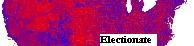 electionate