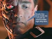 Schwarzenegger: Total Freefall?