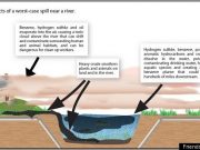 TPV Disagrees with Joe Nocera