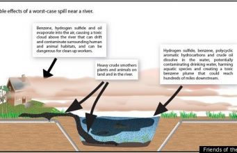 TPV Disagrees with Joe Nocera