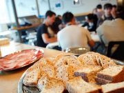 Duis mollis magna quis felis aliquet bibendum