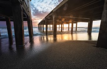 Morbi ac felis fringilla lorem rhoncus vehicula