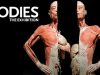 Bodies. The French-Muslim Exhibition