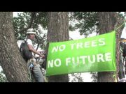 The (Indian) Aristocrats!