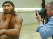 The Neanderthal in Us Is Impure