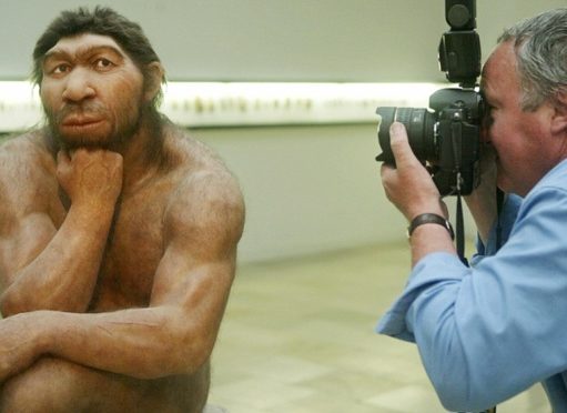 The Neanderthal in Us Is Impure