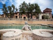 Do You Want to See My Peacock