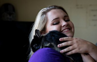 Take Your Dog to School (Every) Day