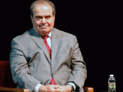 Scalia: Too Slow to Stay Alive