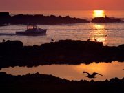 The Politics of Daylight Saving Time