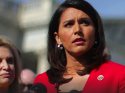 Establishment Bananisment. Democratic Theocratic