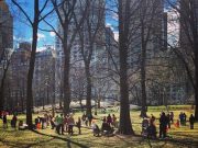 Easter Hunting with the Trumps