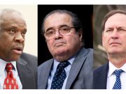 Scalia’s Orphan Piglets Find New Home