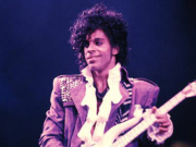 Purple Rain Dried Out…