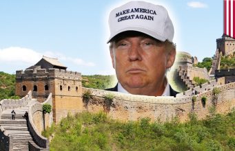 Up a Stump, Trump