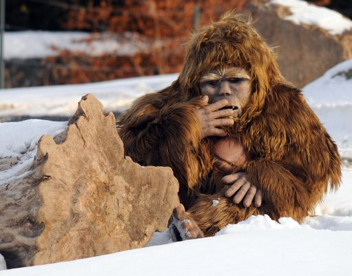 TheWeekholeView Divorces Reality