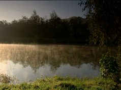 contemplation at dawn