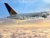 United Flies the Sky
