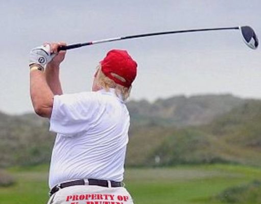 TPV Says Ditto: Donald’s Too Fucking Stupid to Exist