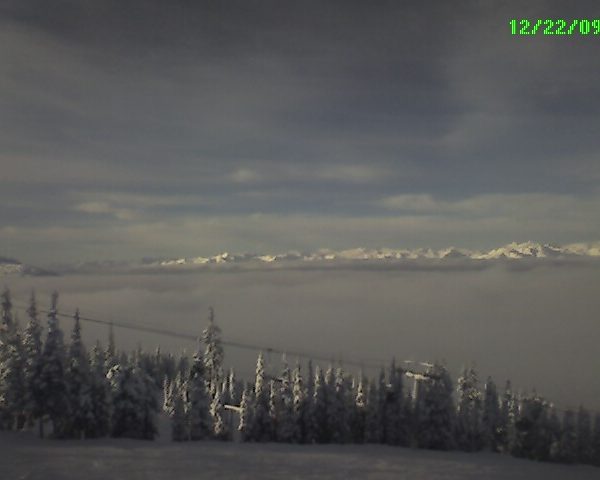 whistler from mickey