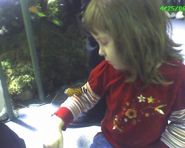 zoe and butterflies