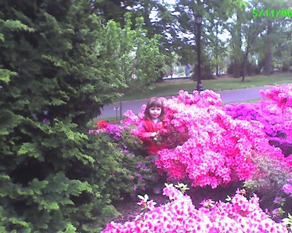 zoe at brooklyn botanical garden while waiting for Izzie