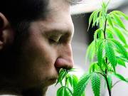 When God Says: Be Naughty My Children