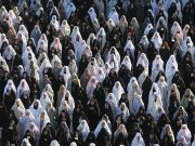 We Don’t Have a Dog in This Fight