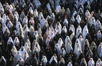 We Don’t Have a Dog in This Fight