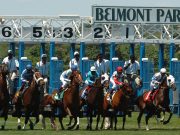 Hay Fever on the Belmont Track