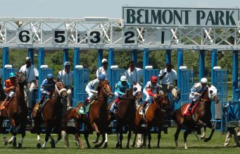 Hay Fever on the Belmont Track