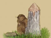 Leave It to Beaver. The Sequel