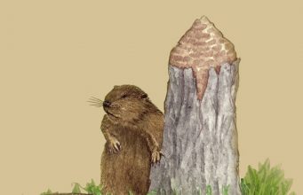 Leave It to Beaver. The Sequel