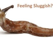 New ADD Spurs Money and Hope for More Money